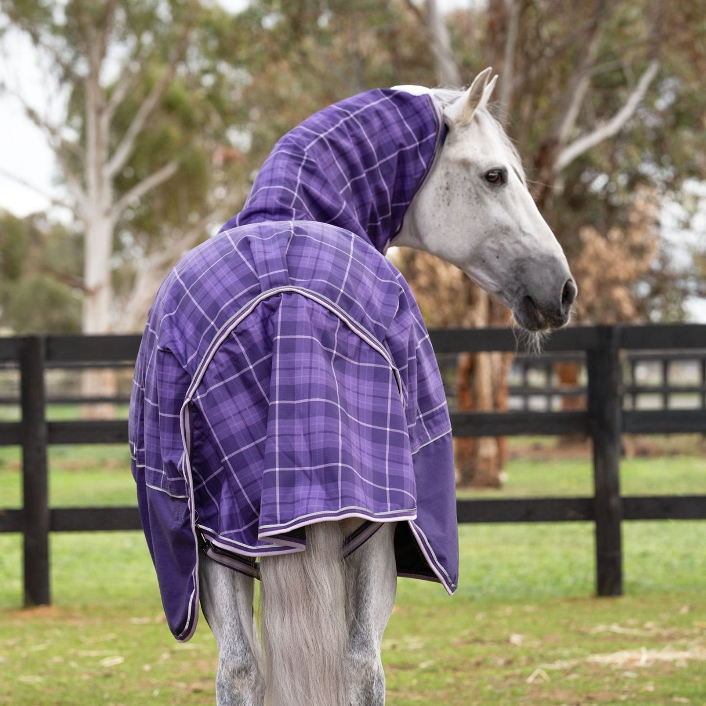 Caribu Eclipse Detach-a-Neck Rainsheet 1200D Purple Tartan