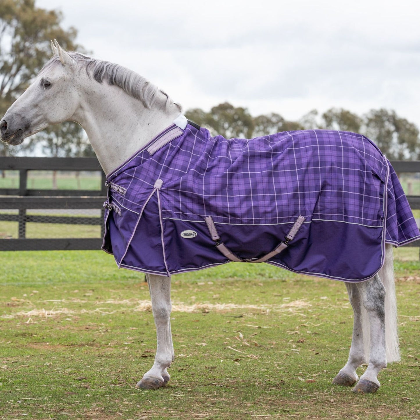 Caribu Eclipse Detach-a-Neck Rainsheet 1200D Purple Tartan