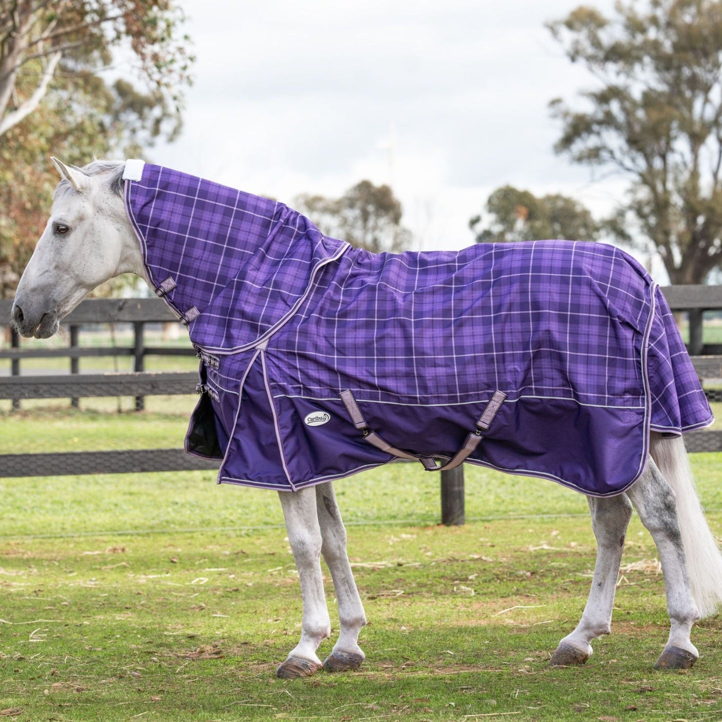 Caribu Eclipse Detach-a-Neck Rainsheet 1200D Purple Tartan