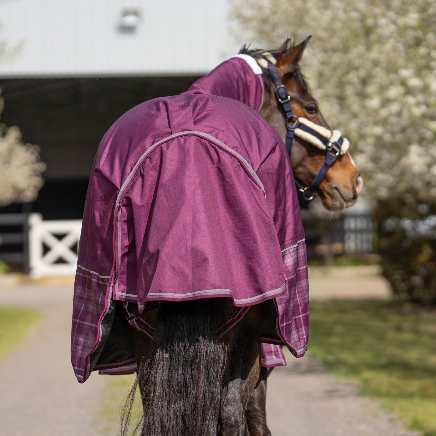 Caribu Flinders Detach-a-Neck Rainsheet 1200D Plum Tartan