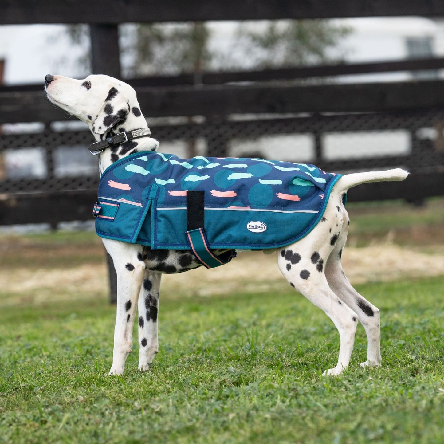 Caribu Alpine Dog Coat Peach Splotch