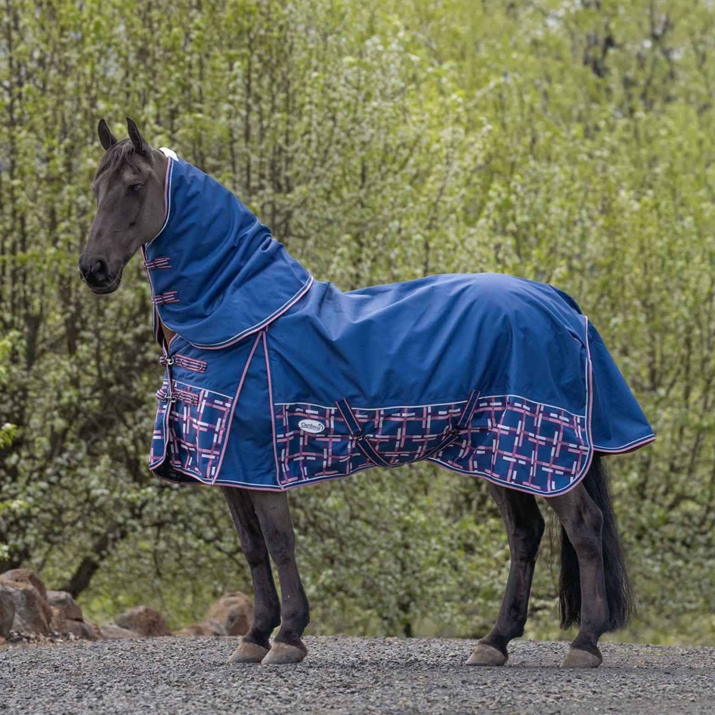 Caribu Alpine XL Gusset Detach-a-Neck Horse Rug 100g Navy Check