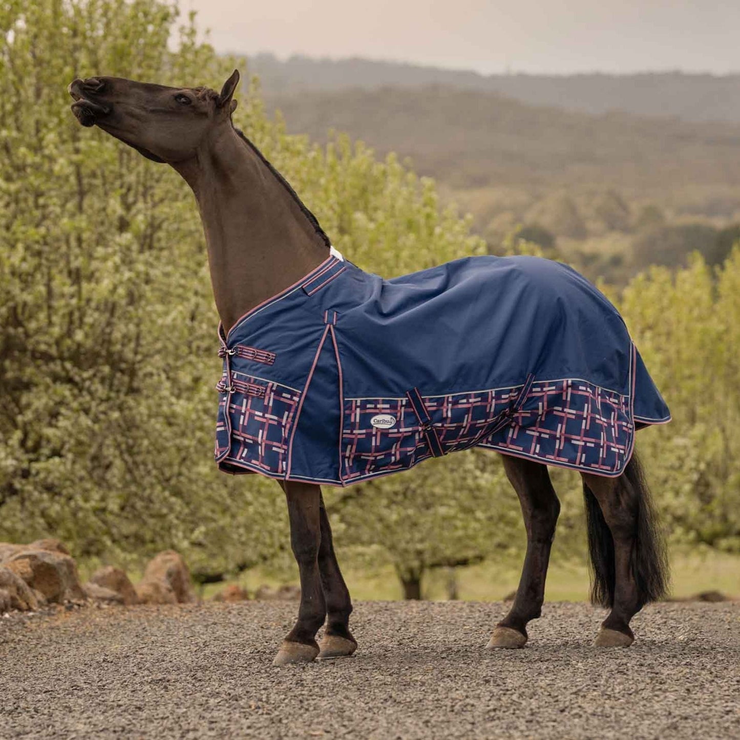 Caribu Alpine XL Gusset Detach-a-Neck Horse Rug 100g Navy Check