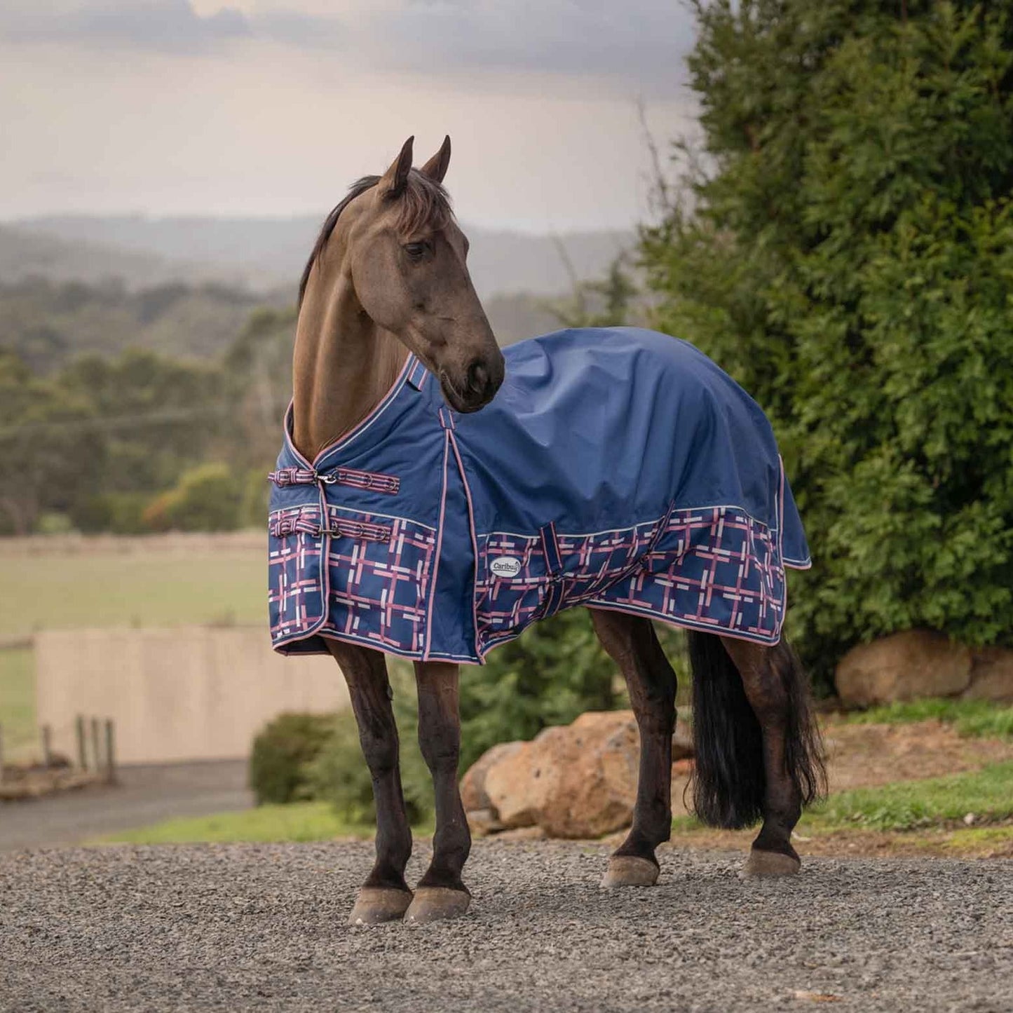 Caribu Alpine XL Gusset Detach-a-Neck Horse Rug 100g Navy Check