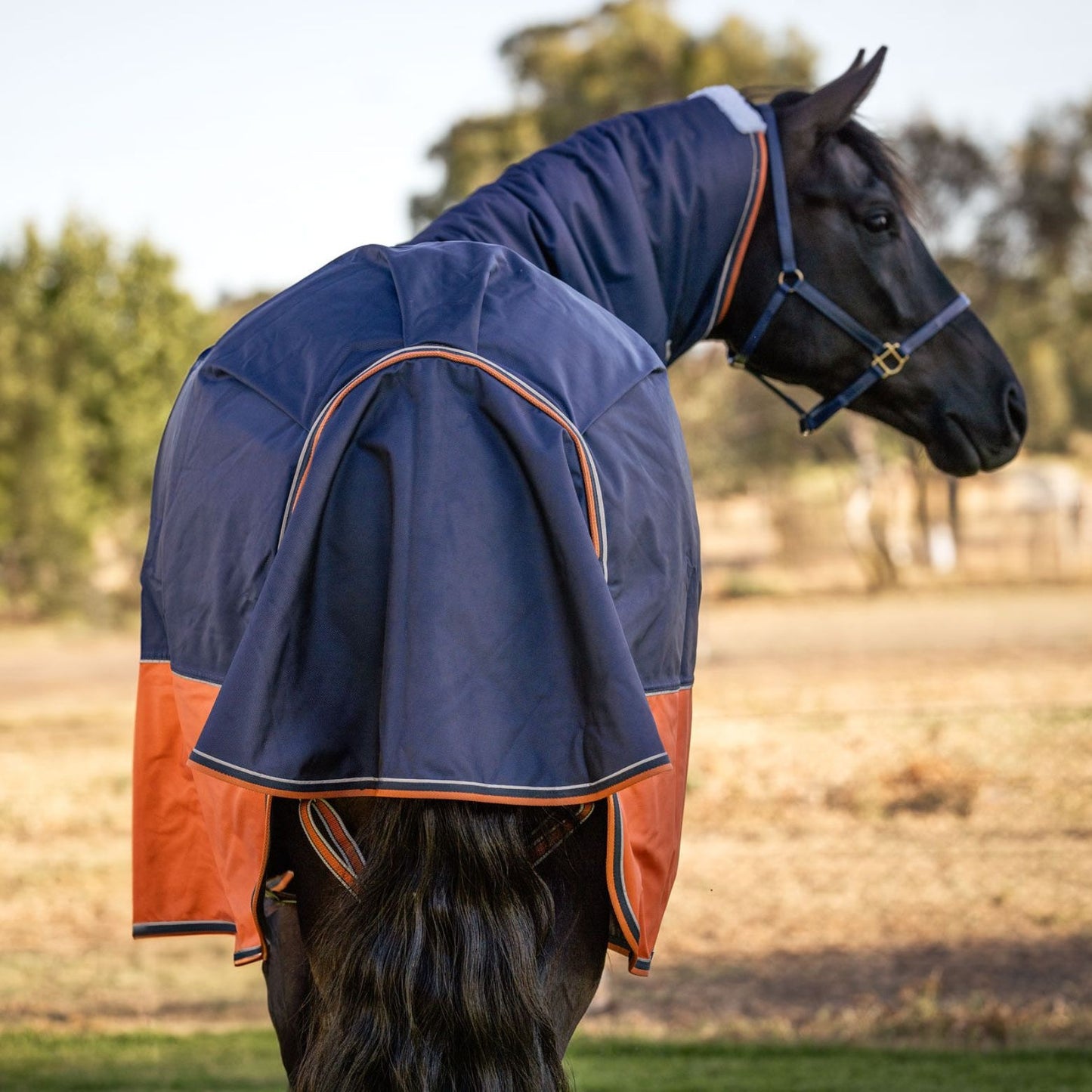 Caribu Colorado Combo Horse Rug 300g Navy/Kumquat