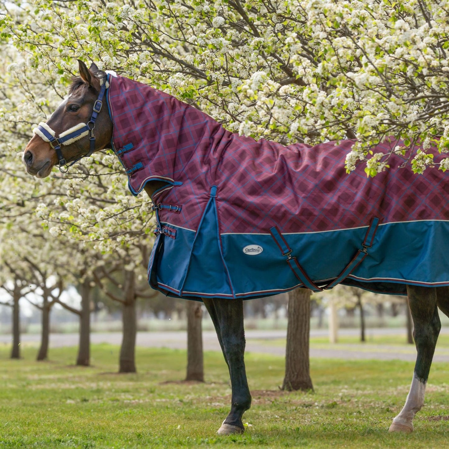 Caribu Alpine Combo Horse Rug 300g Merlot Tartan