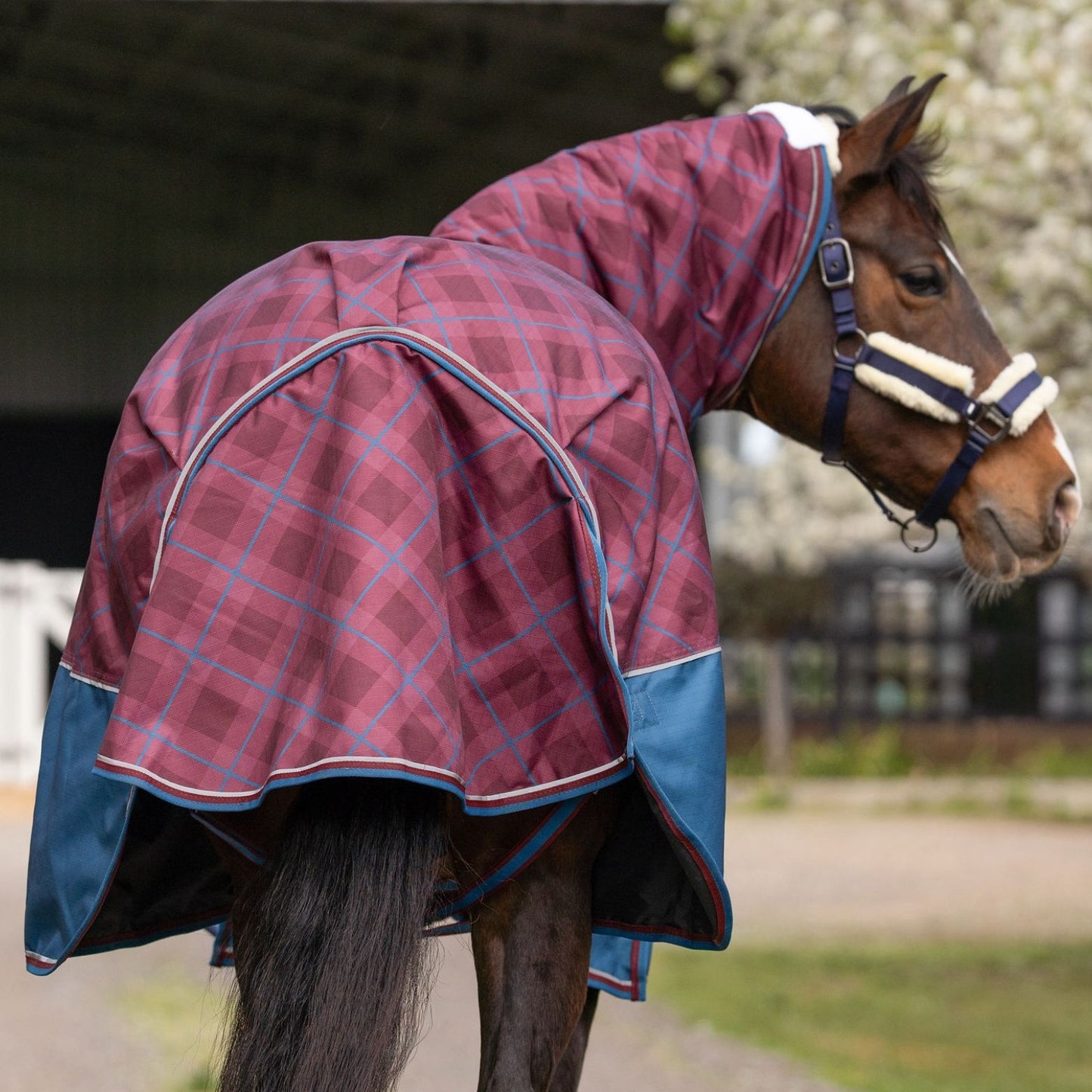 Caribu Alpine Combo Horse Rug 300g Merlot Tartan