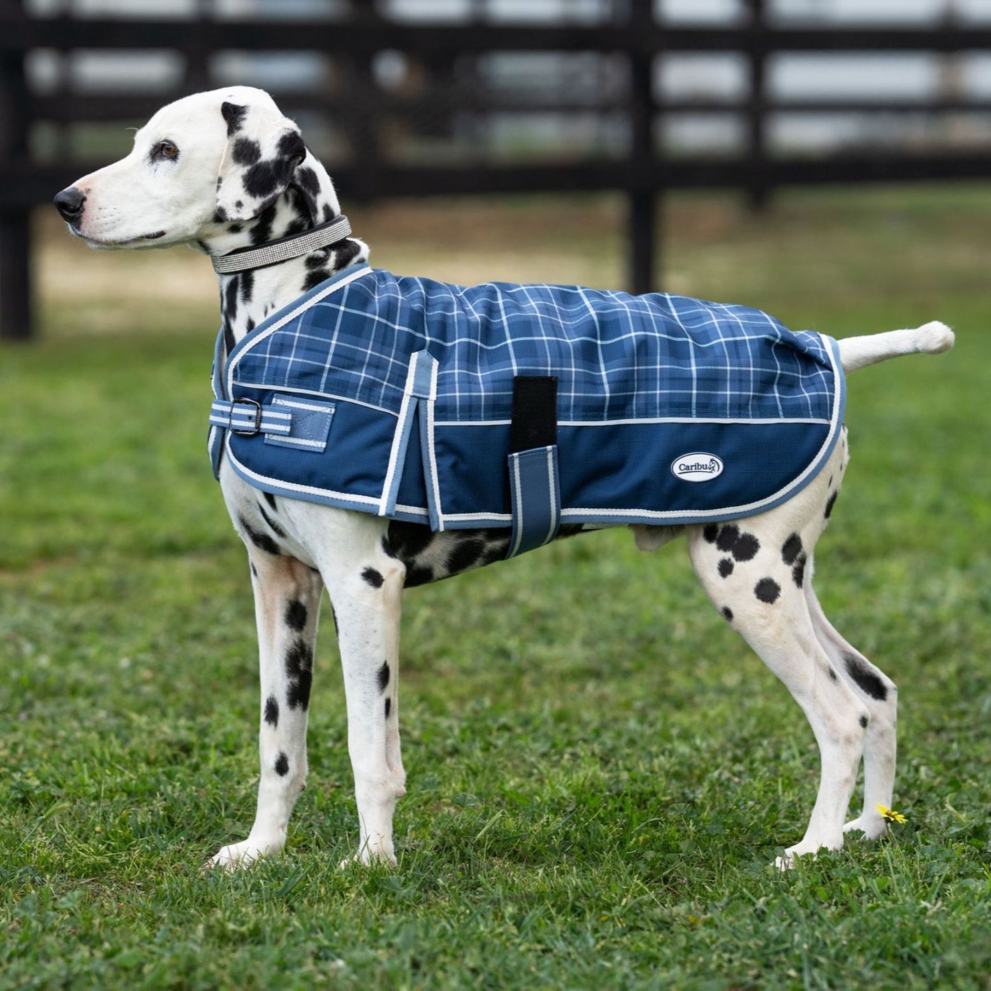 Caribu Alpine Dog Coat Classic Tartan