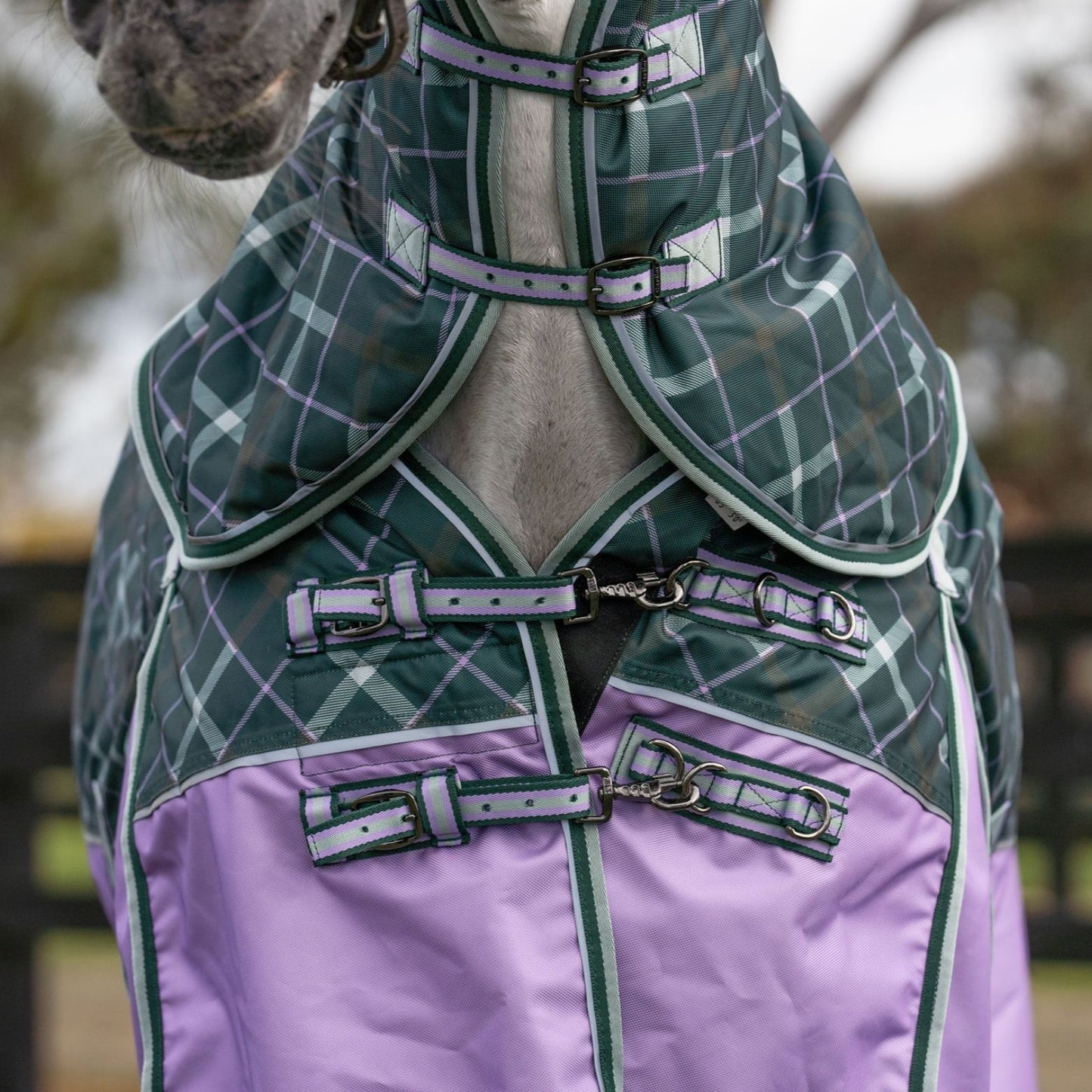 Caribu Colorado Detach-a-Neck Horse Rug 250g Green/Lilac Tartan