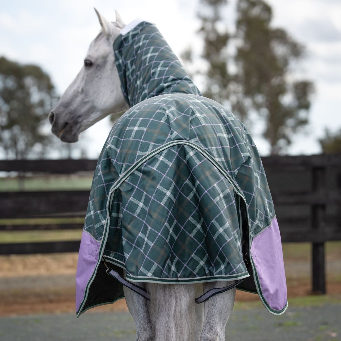 Caribu Colorado Detach-a-Neck Horse Rug 250g Green/Lilac Tartan