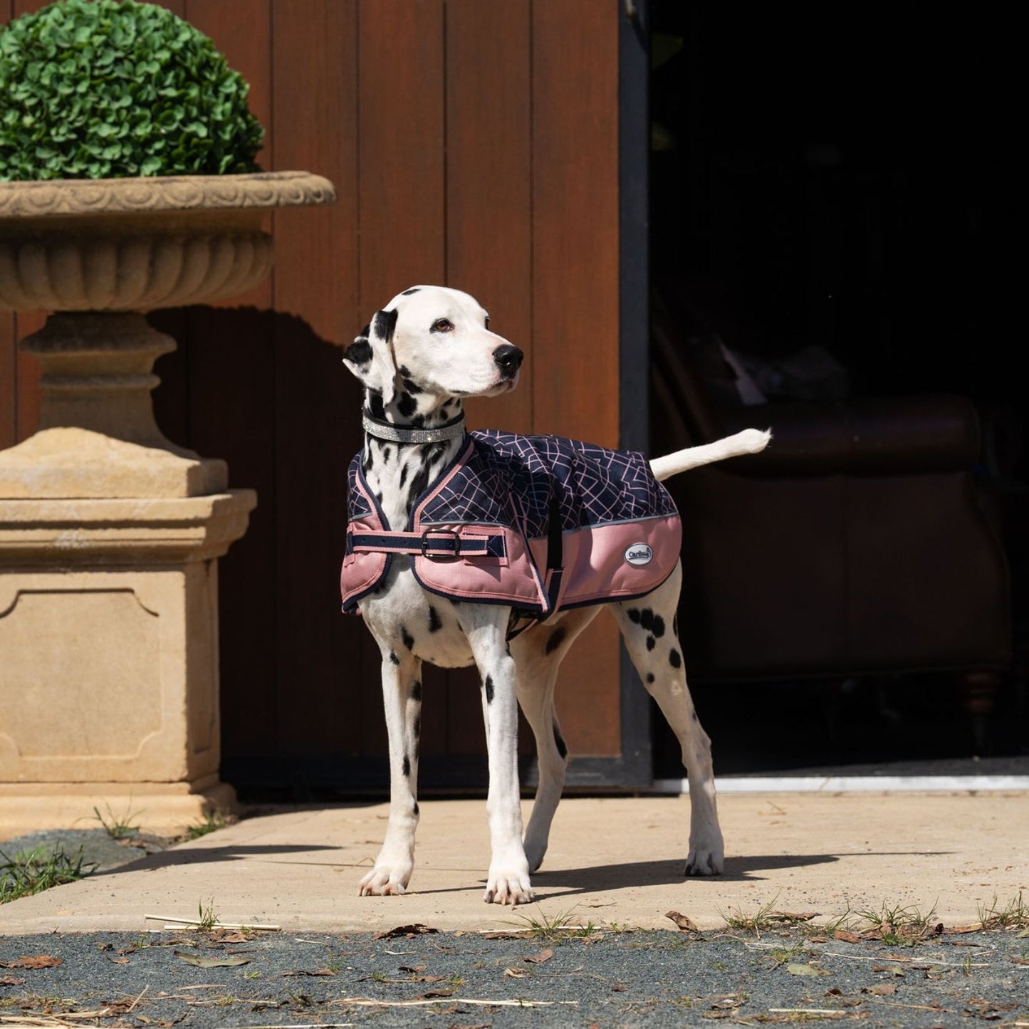 Caribu Alpine Dog Coat Rose Geo