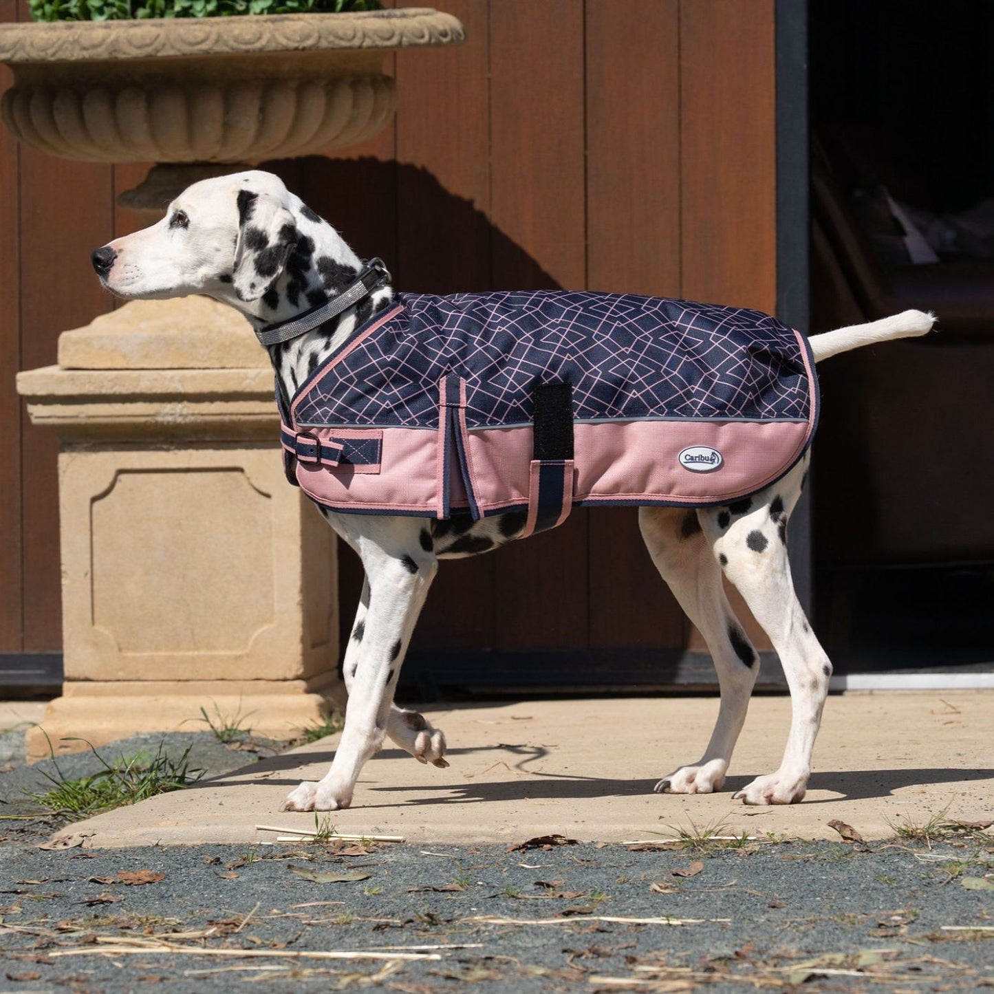 Caribu Alpine Dog Coat Rose Geo