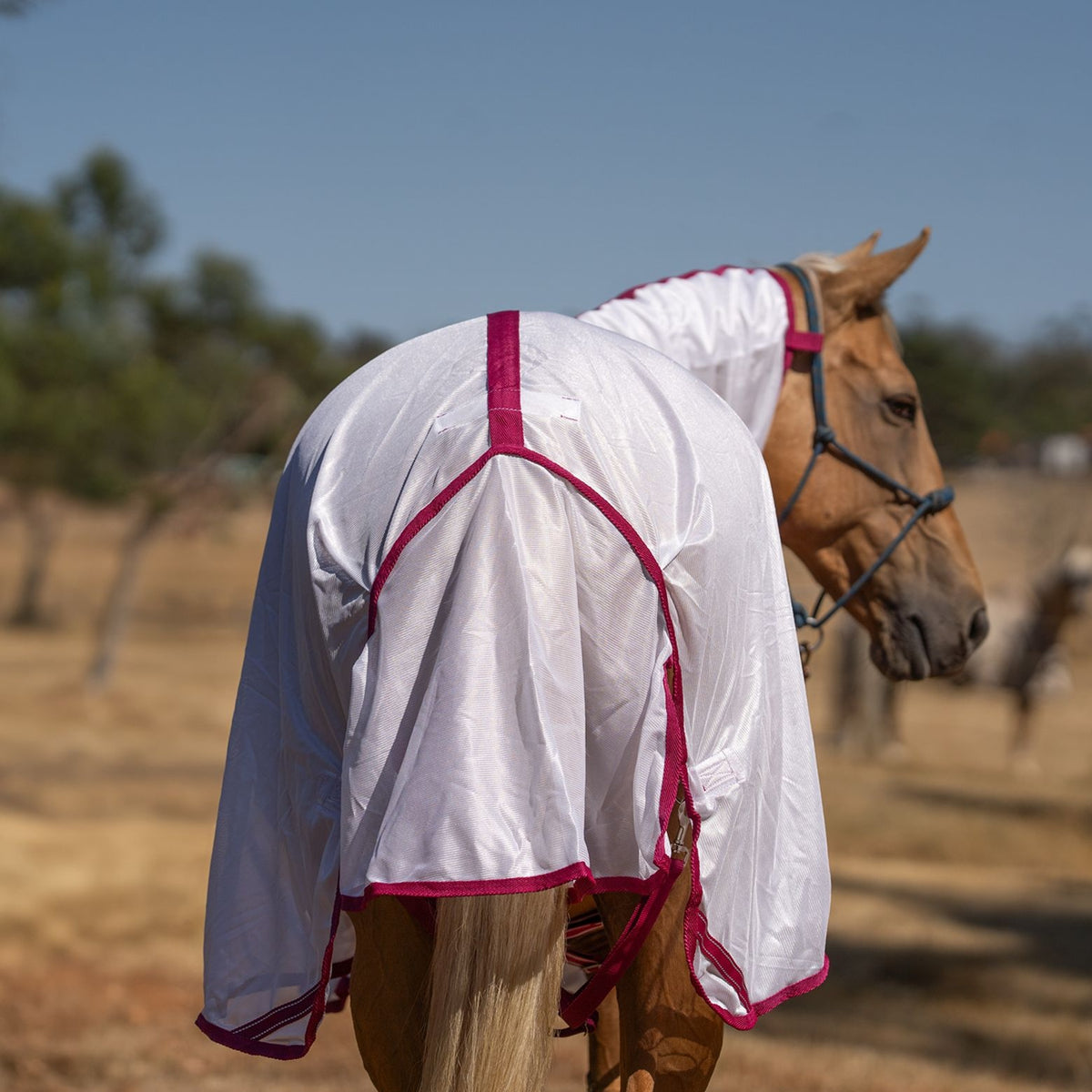Caribu EuroLite Mesh Combo Horse Rug Berry Blush
