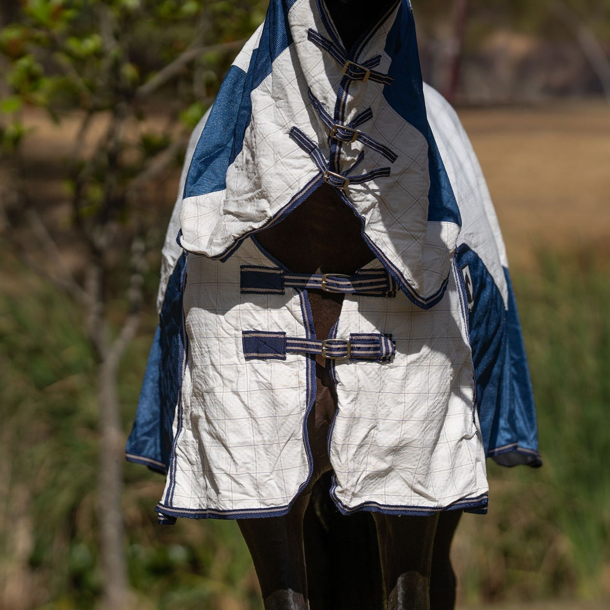 Kingsley Hybrid Combo Horse Rug Heritage Navy