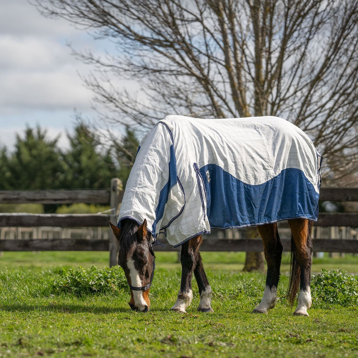 Kingsley Hybrid Combo Horse Rug Heritage Navy