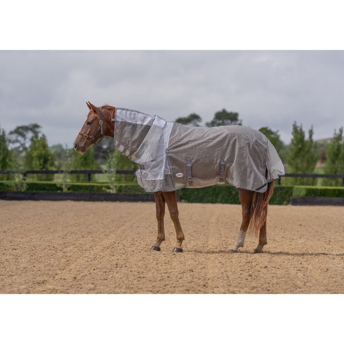 Caribu Armour Mesh Combo Horse Rug Shadow