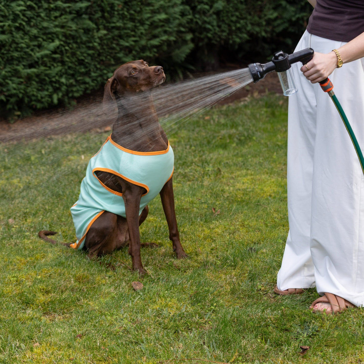 Lexi & Me Wash Hose Attachment