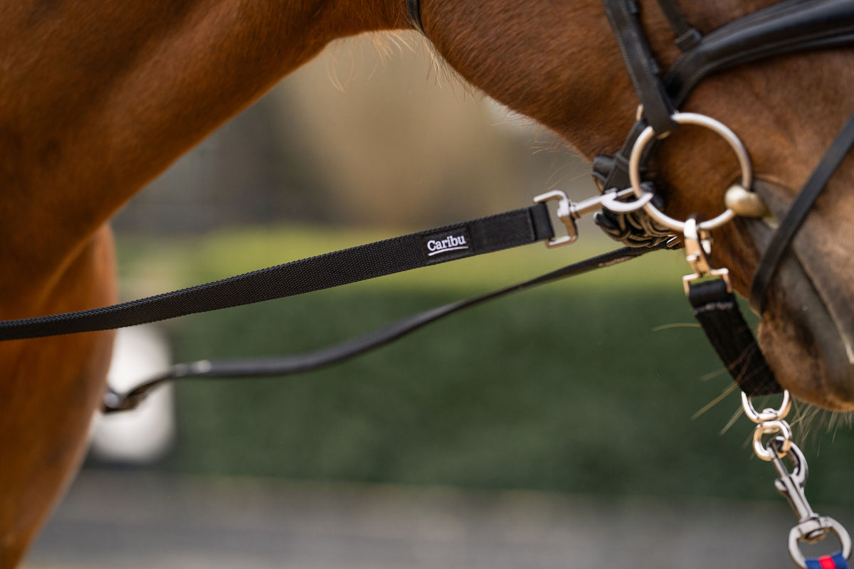 Caribu Side Reins for Horses