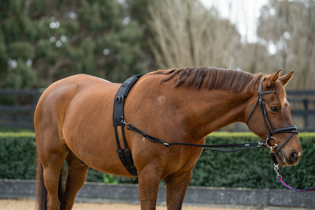 Caribu Side Reins for Horses