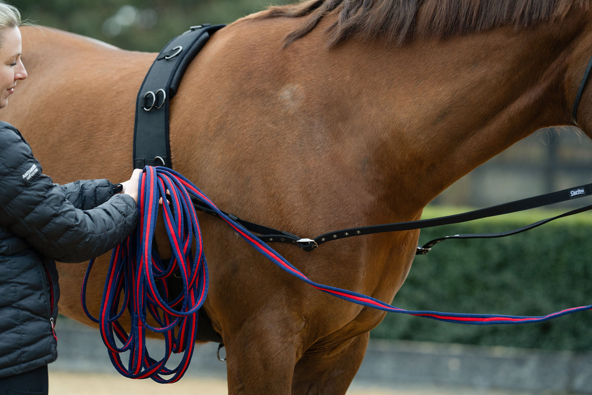 Caribu Side Reins for Horses