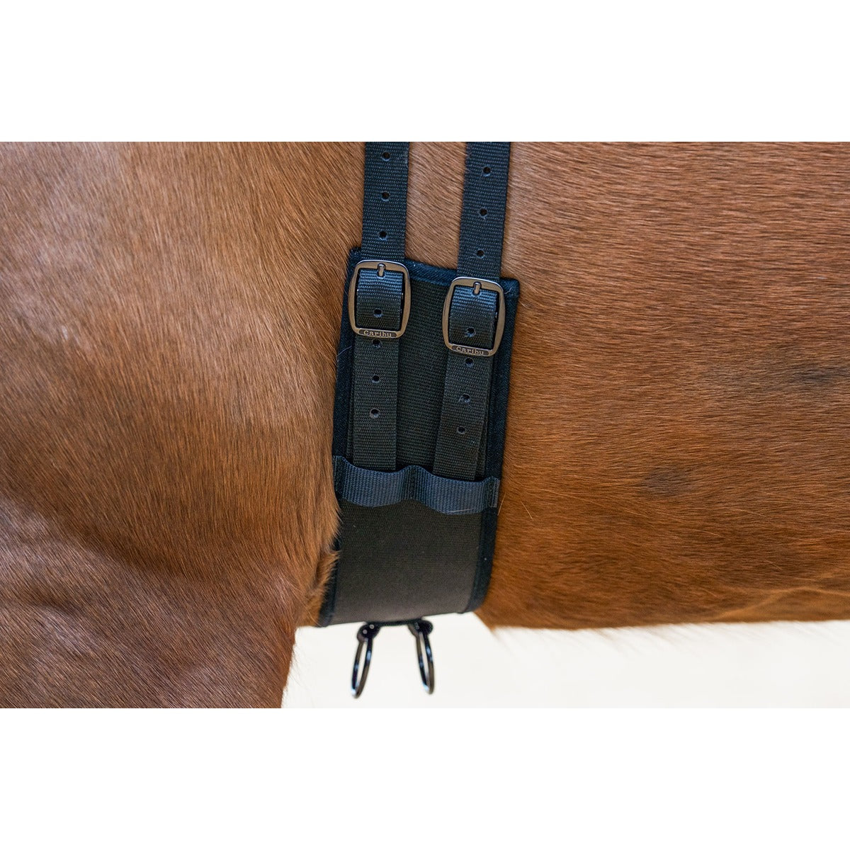 Caribu Lunge Roller for Horses