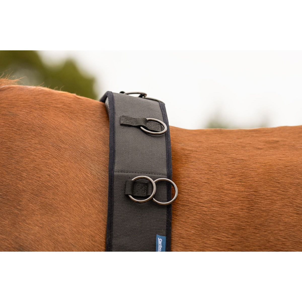 Caribu Lunge Roller for Horses