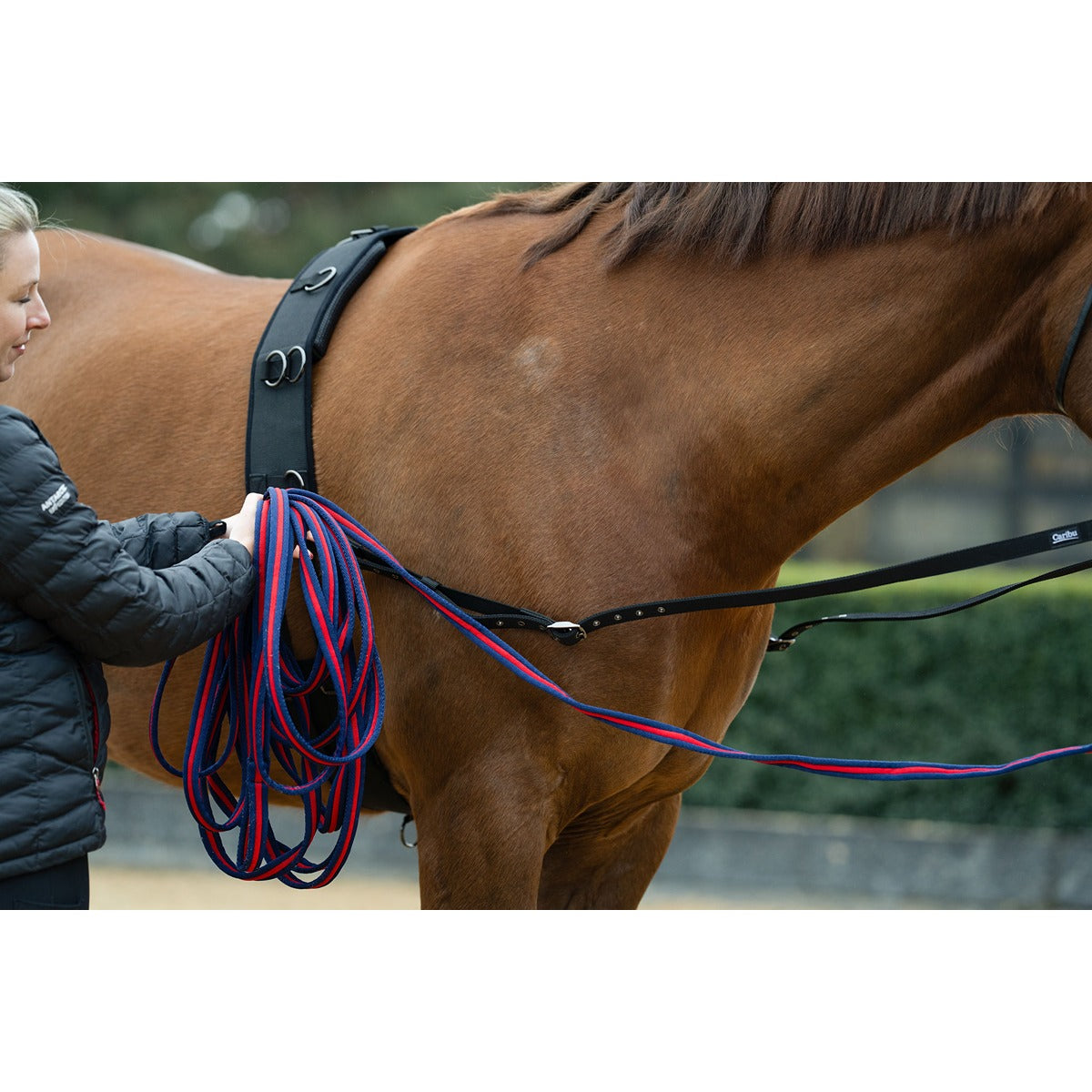 Caribu Lunge Roller for Horses
