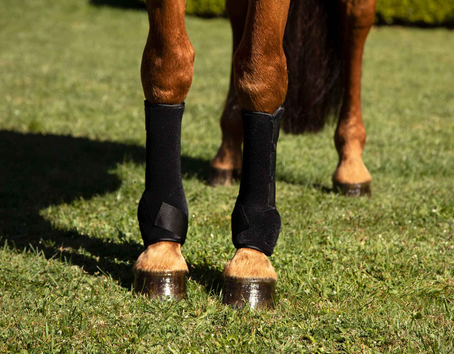Neoprene Boots