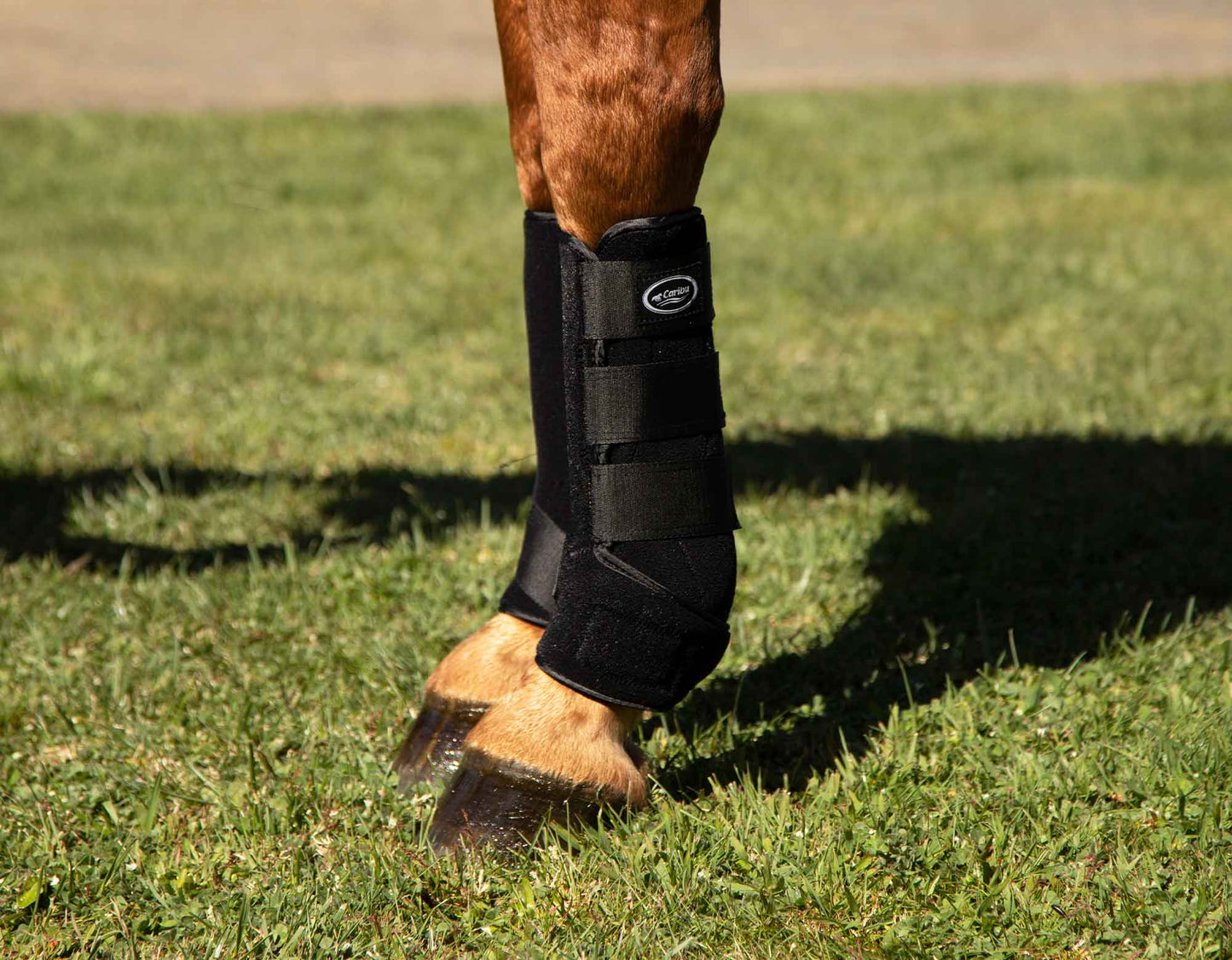 Neoprene Boots