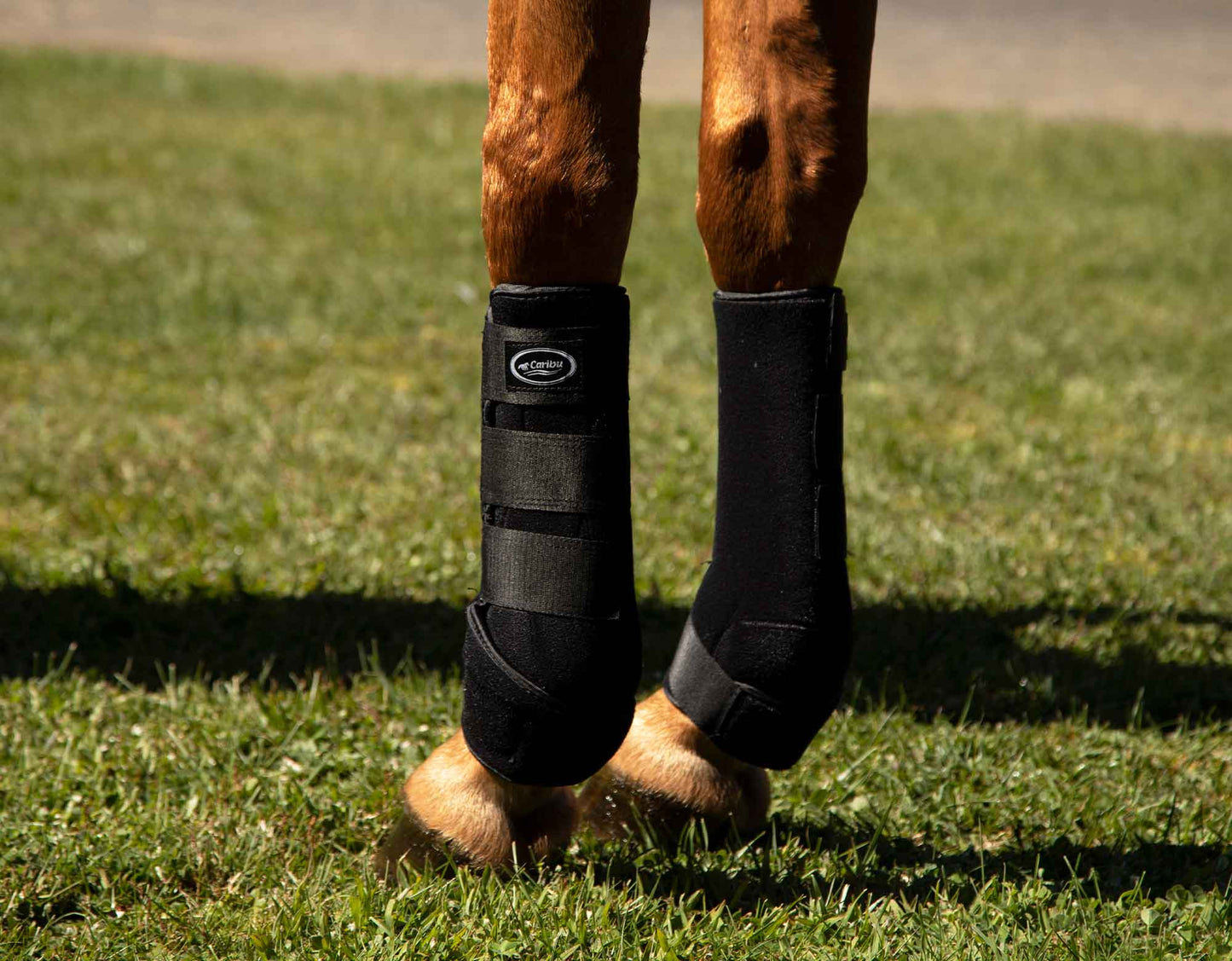Neoprene Boots