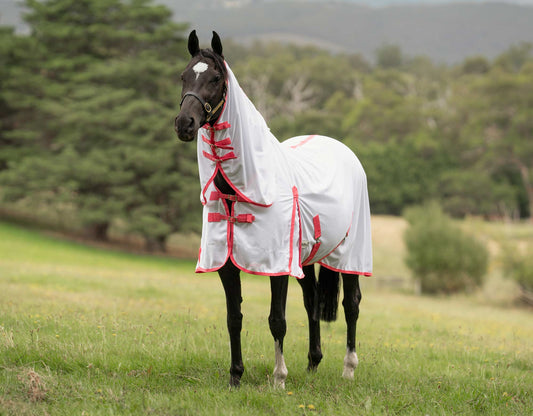 Caribu Euro Mesh Combo Horse Rug