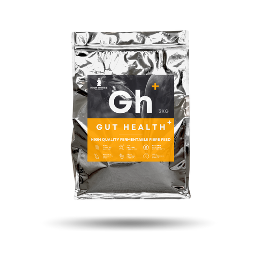 High Horse Gut Health Supplement Plus