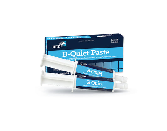 KER B-Quiet Paste 2 x 30g Twin Pack