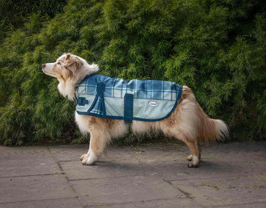 Caribu Rainforest Dog Coat