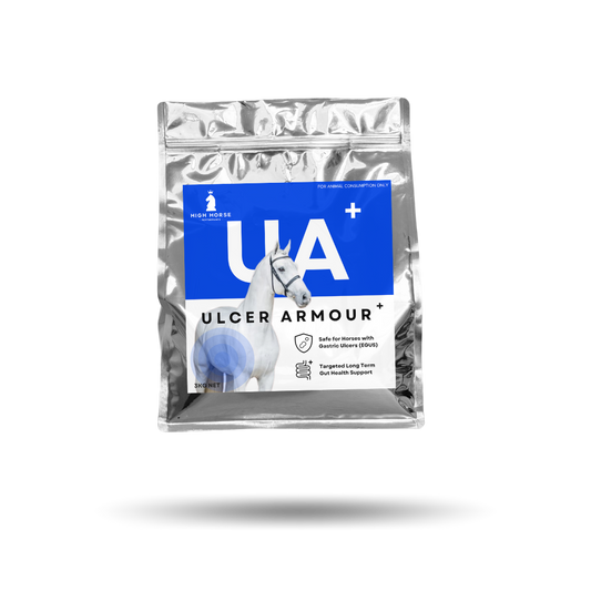 High Horse Ulcer Armour Supplement Plus