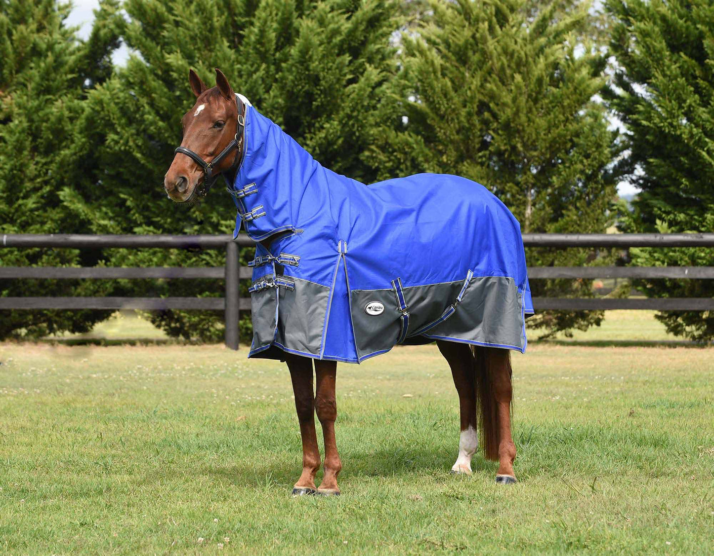 Eclipse 1200D Rainsheet Combo (100000000363) [Royal Blue]
