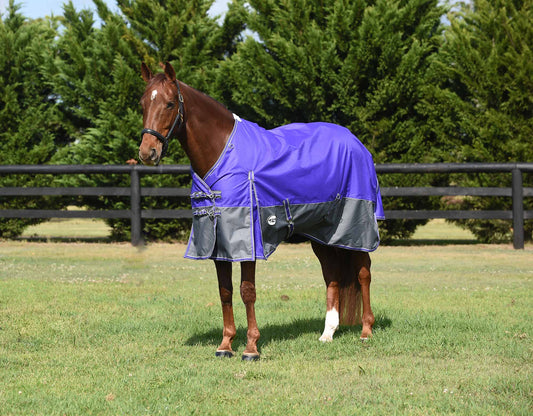 Eclipse 1200D Rainsheet Horse Rug (100000000431) [Purple]