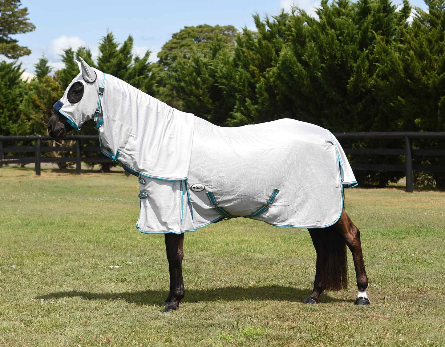Clearance Hooded Fly Mesh Rug