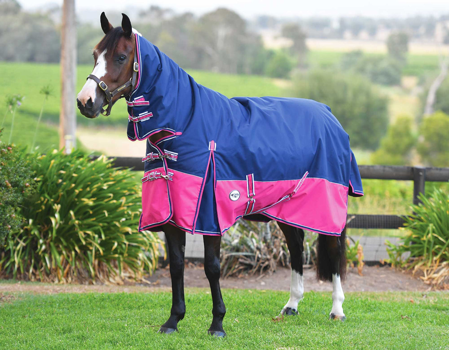Eclipse 1200D Rainsheet Combo (100000004685) [Navy/Pink]