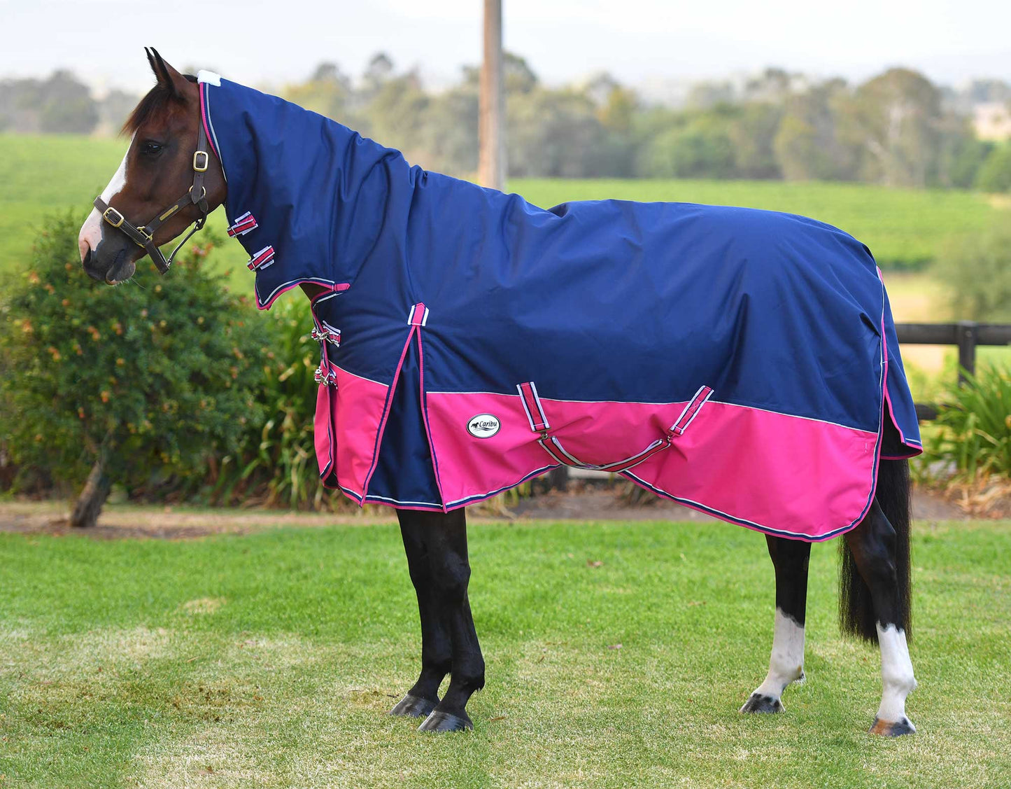 Eclipse 1200D Rainsheet Combo (100000004685) [Navy/Pink]