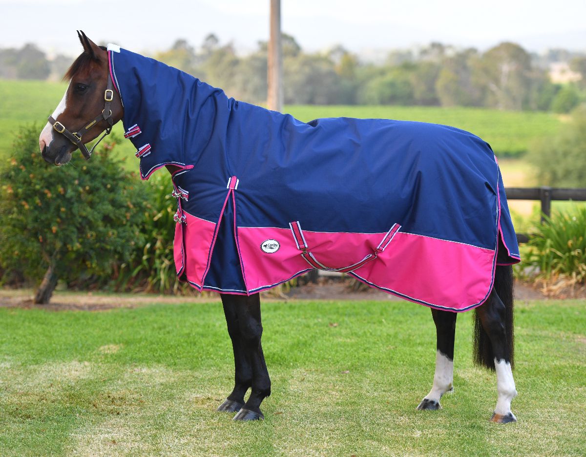 Eclipse Rainsheet Combo Horse Rug