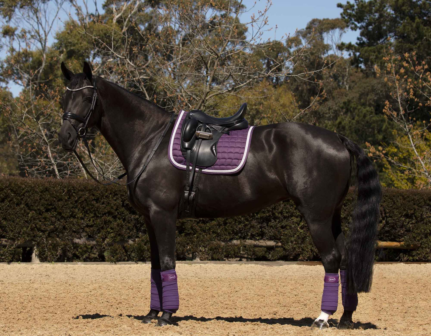 Caribu Horse Polo Bandage