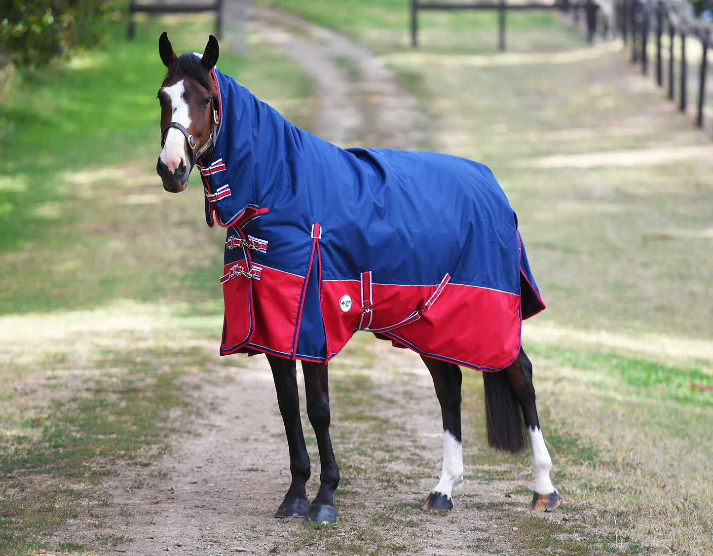 Eclipse Rainsheet Combo Horse Rug