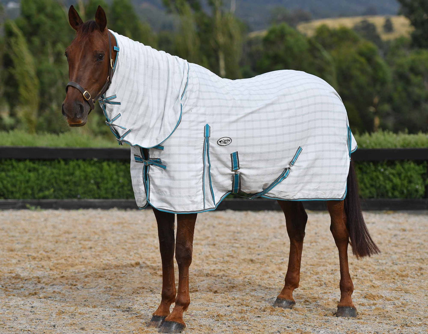 Ripstop Horse Rug Combo (100000007745) [Turquoise]