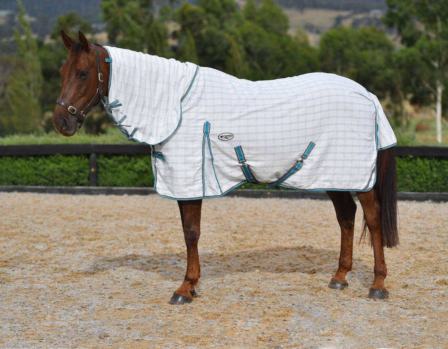 Ripstop Horse Rug Combo (100000007745) [Turquoise]