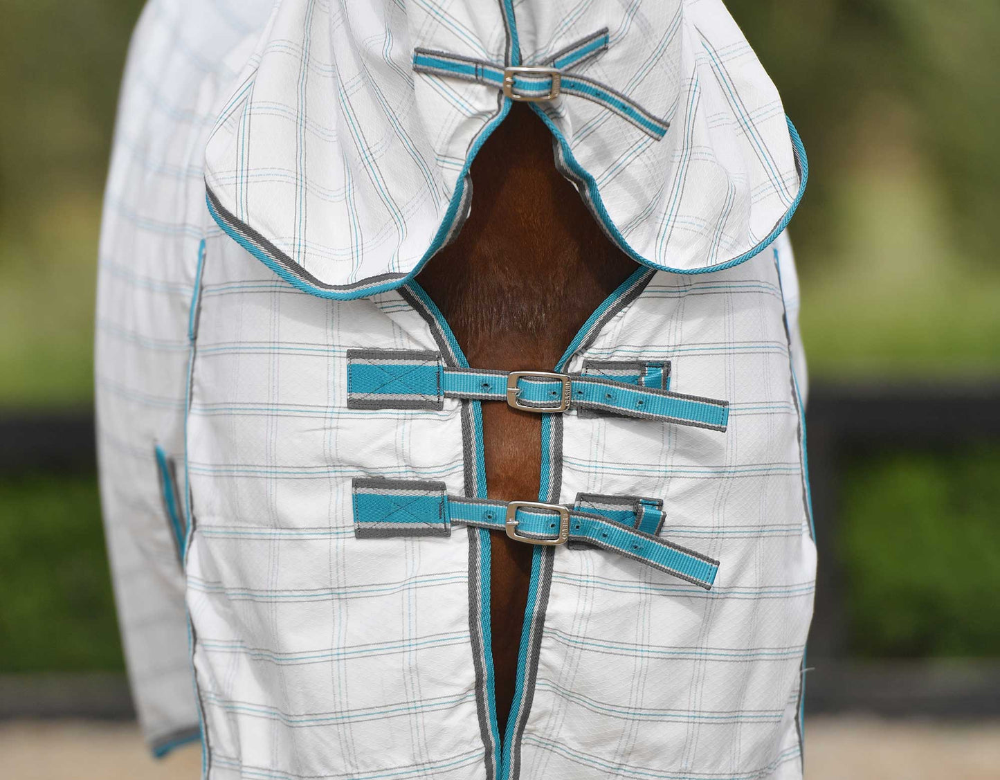 Ripstop Horse Rug Combo (100000007745) [Turquoise]
