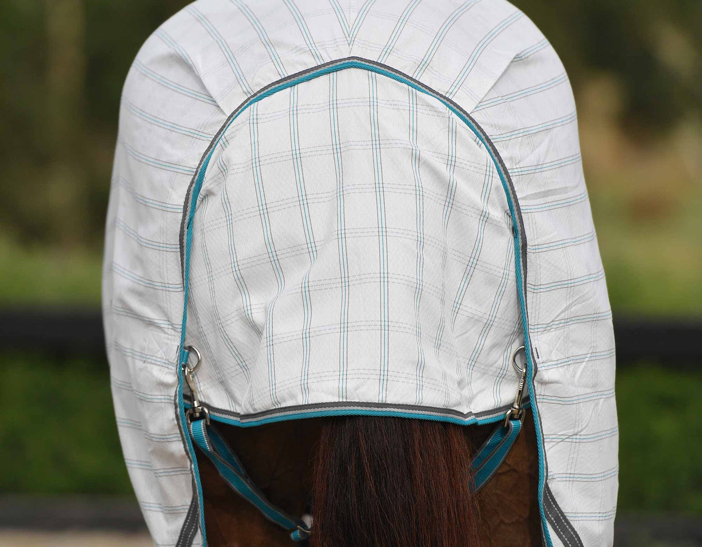 Ripstop Horse Rug Combo (100000007745) [Turquoise]