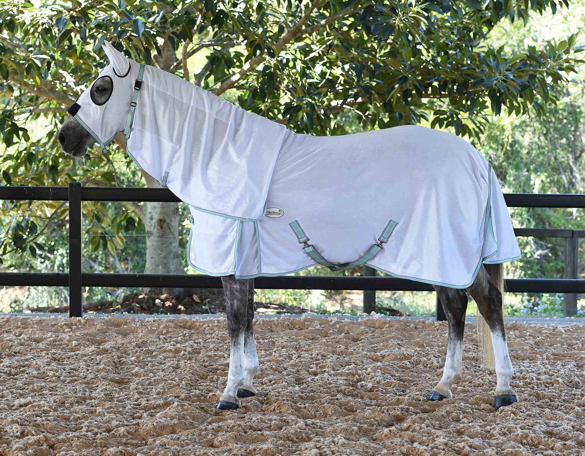 Clearance Caribu Hooded Fly Mesh Rug (100000007975) [Mint]