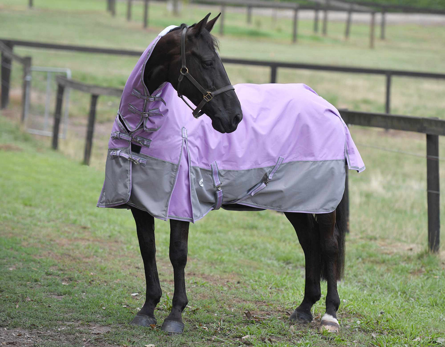Eclipse Rainsheet Combo Horse Rug