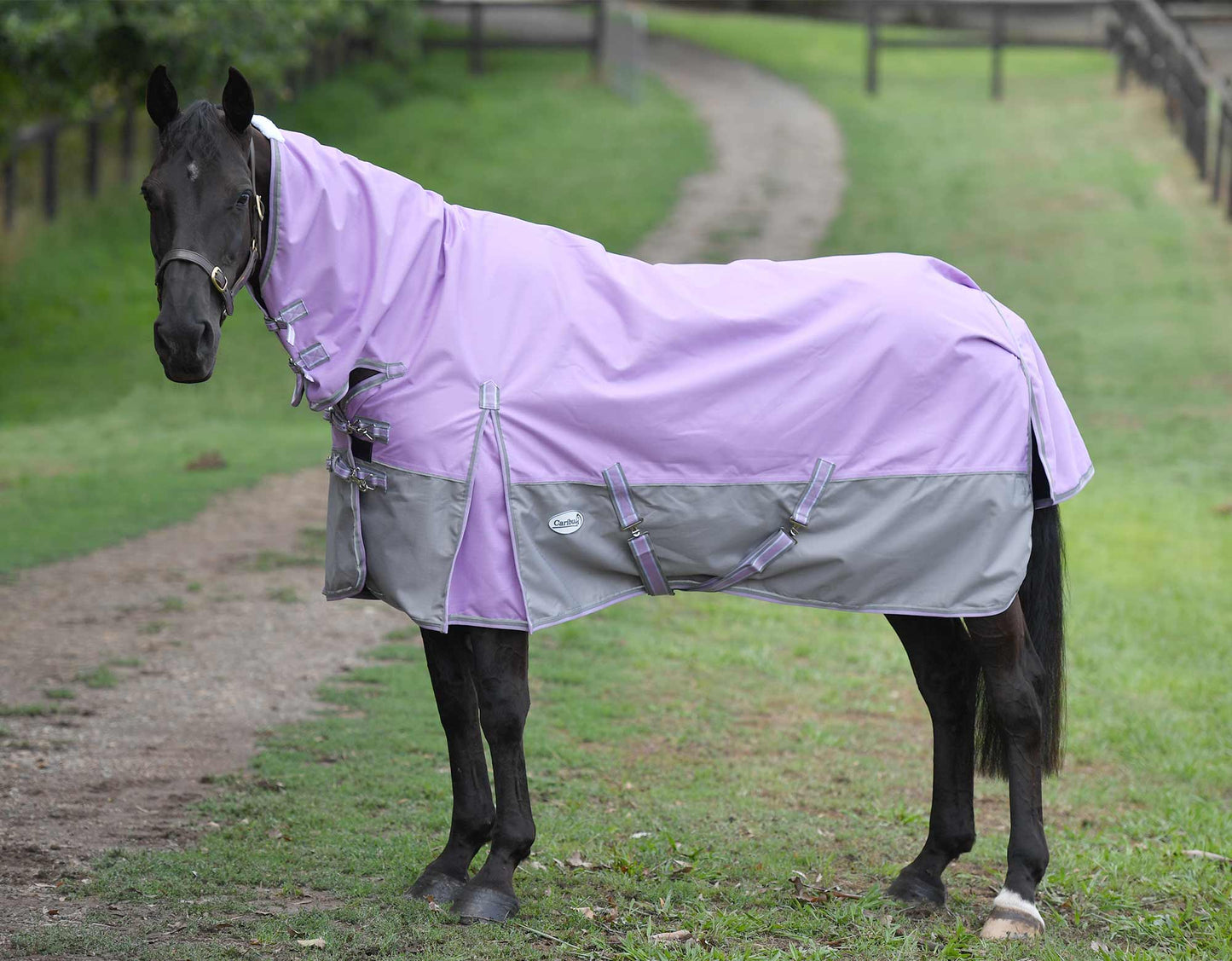Eclipse Rainsheet Combo Horse Rug